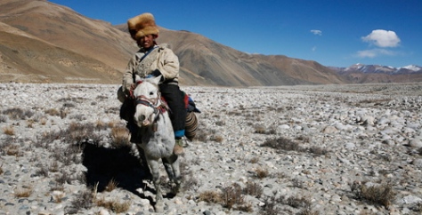 tibet-horseman